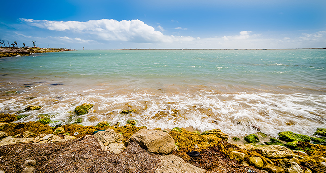 Padre Island