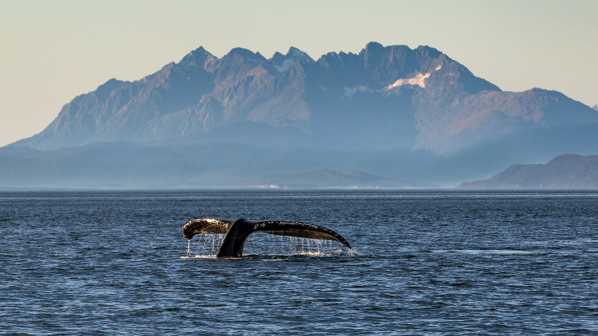 Royal Alaska Cruise