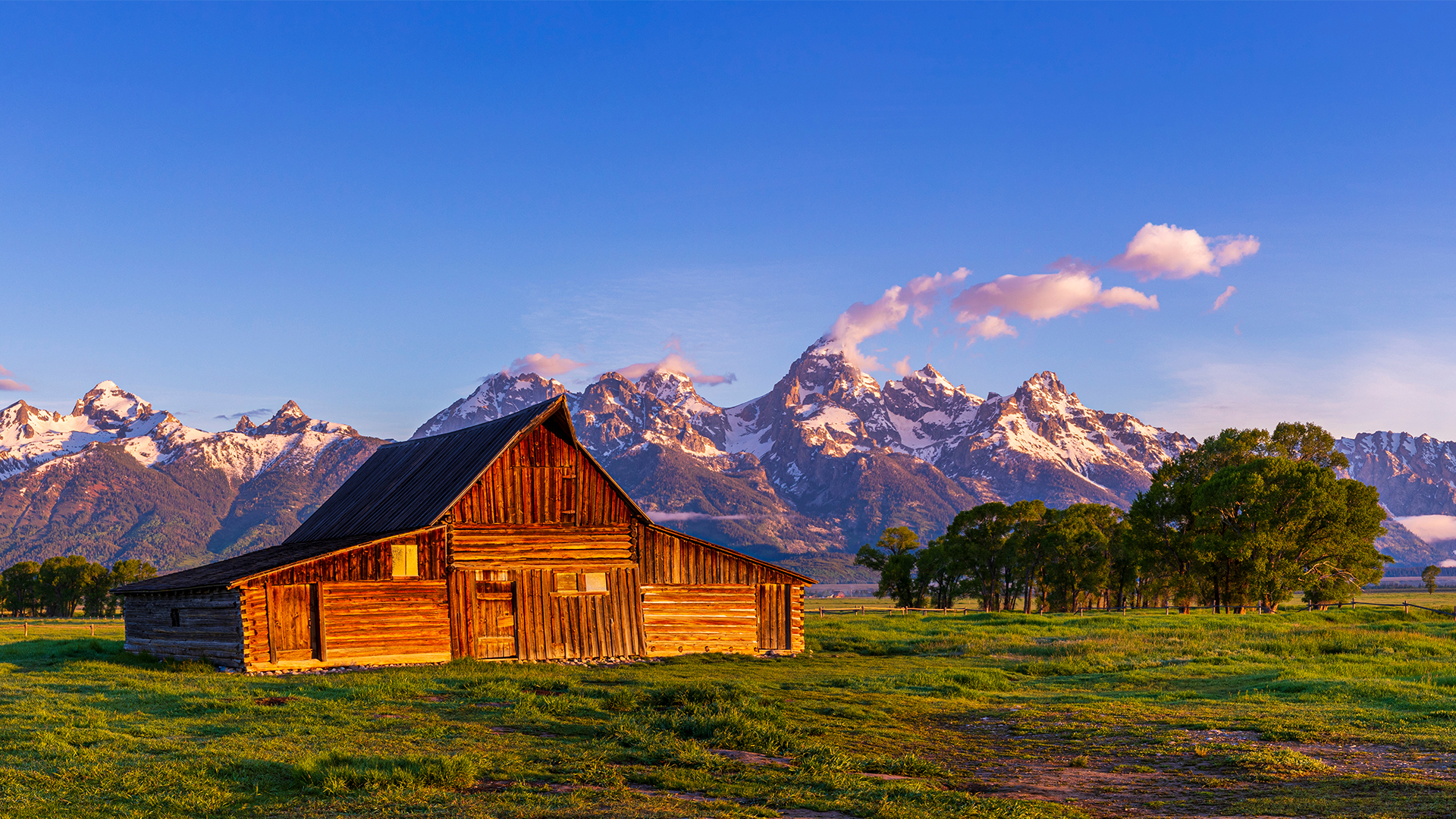 Yellowstone & Grand Teton